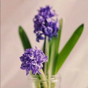 Meet your Posher, Kaylee